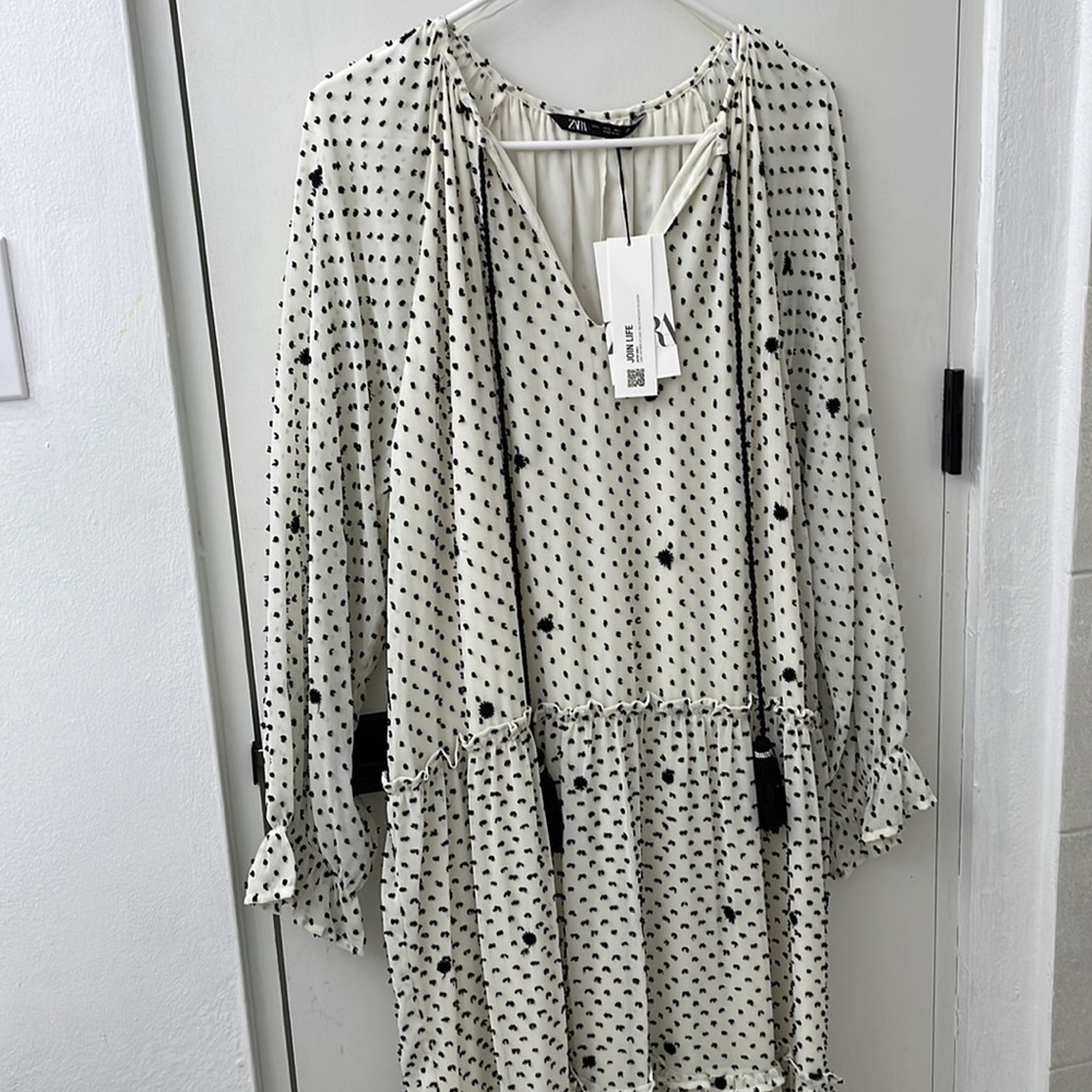 Zara Dotted Mesh Oversized Maxi Dress Size Large L NWT Polka Dots Swiss Dots - Picture 2 of 9